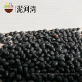 Nouvelle récolte 2013 gros haricots noirs / haricots noirs / lentilles noires